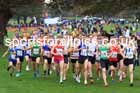 Senior Mens relay, 2025 Northern Cross Country Relays, Graves Park, Sheffield. Photo: David T. Hewitson/Sports for All Pics